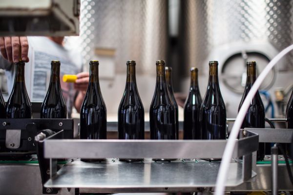 Φωτογραφία από From Vineyard to Bottle: Our Winemaking Process